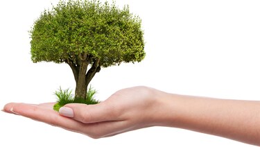 De semillas se construyen comunidades con bienestar