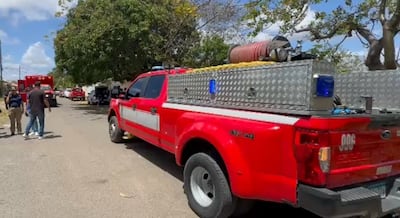 Más de 100 personas afectadas por abejas africanizadas en medio del Vía Crucis en Penonomé