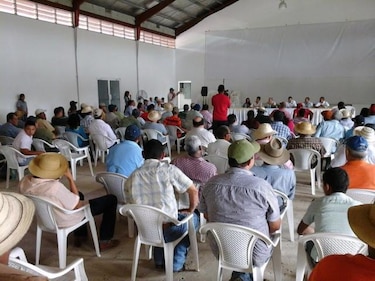 Arango dice a arroceros que no se tiene contemplado la compra de insumos