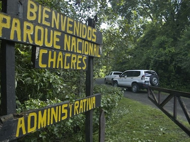 La tala ilegal impacta a los parques Soberanía y Chagres