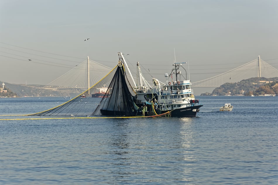CSJ confirma legalidad del decreto ejecutivo que prohíbe la pesca de arrastre