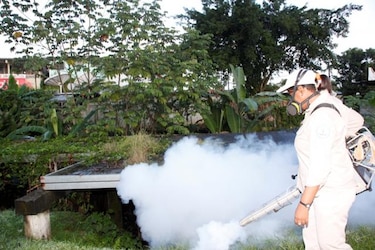 Minsa pide que se mantengan las medidas de prevención contra el dengue