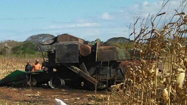 Altas temperaturas reducen labores de cultivo en Azuero