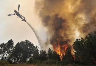 Se reactiva incendio en un bosque de Nelas, Portugal.