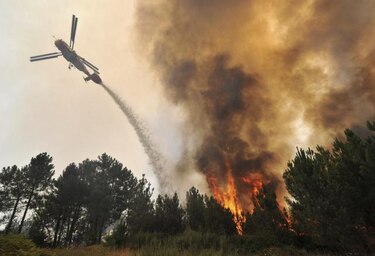Se reactiva incendio en un bosque de Nelas, Portugal.