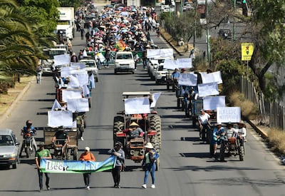 Bolivia pide a CIDH una evaluación ‘equilibrada’ del impacto humanitario de los bloqueos