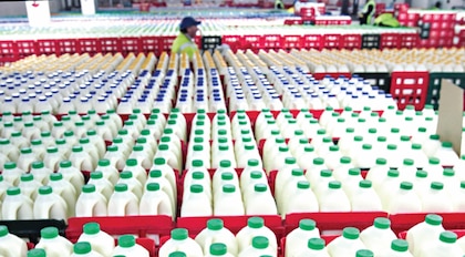 La OMC da la razón a Costa Rica en disputa comercial