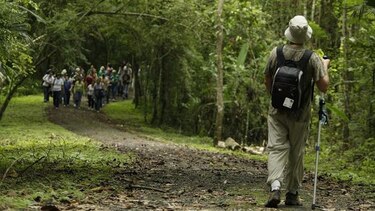 Rutas para recorrer en familia