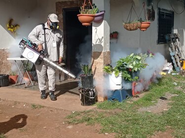 Panamá acumula 1,661 casos de dengue en lo que va del año