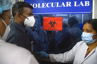 Virus Nipah en India: qué es, cómo se transmite y qué tan peligroso es