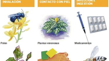 Las alergias están en apogeo