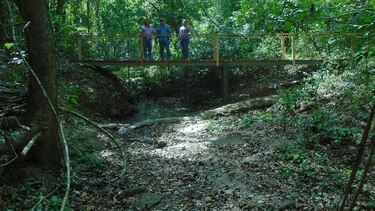 Comienza a bajar el caudal de los afluentes del bosque El Colmón