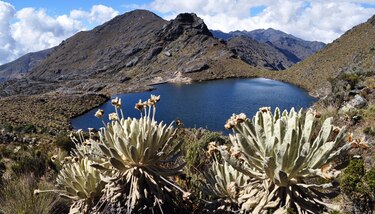 Colombia gana otra demanda a minera canadiense por proyecto en el páramo de Santurbán