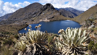 Colombia gana otra demanda a minera canadiense por proyecto en el páramo de Santurbán
