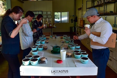 Café geisha, el exótico y carísimo lujo panameño