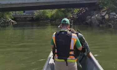 Miambiente: mancha oscura en el río Matasnillo es ‘sedimento a base de aceite’