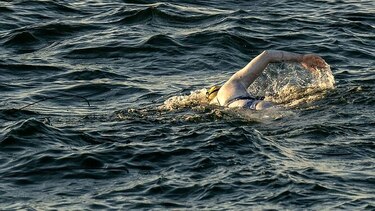 Una estadounidense cruza cuatro veces a nado el canal de la Mancha sin parar