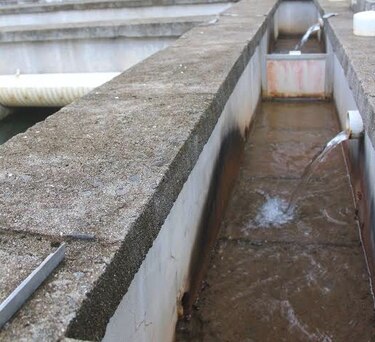 Minsa permite reactivar producción de potabilizadora de Cerro Cama