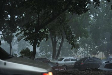Árboles caídos y techos desprendidos por fuertes vientos y lluvias