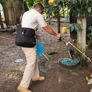 Se reportan 231 casos de dengue en Los Santos 