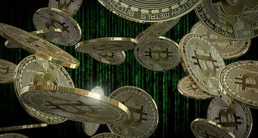 Así es ‘Pig Buchering’, la nueva estafa del amor que anima a las víctimas a invertir en criptomonedas