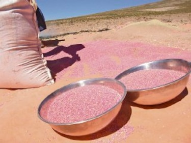 Buscan combatir el hambre