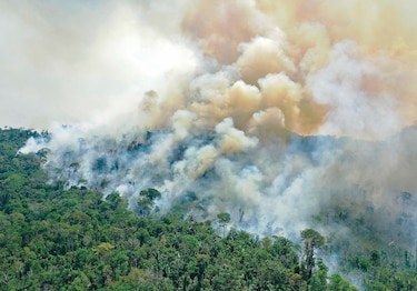 Deforestación e impunidad atizan incendios amazónicos