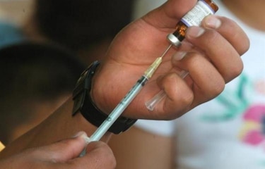 La OPS lanza alerta: fiebre amarilla podría llegar a Panamá si no se actúa a tiempo
