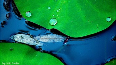 El arte como conexión con el medio ambiente