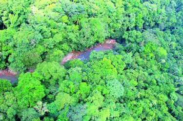 Presión urbana sobre el área norte del río Juan Díaz