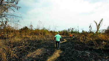 Evalúan el Matusagaratí