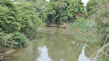 BID aprueba $100 millones para proyecto en río Juan Díaz
