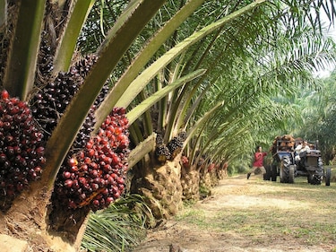 A pesar de los señalamientos hacia Panamá, Costa Rica domina comercio bilateral