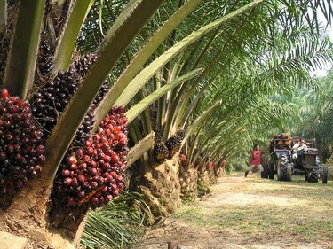 A pesar de los señalamientos hacia Panamá, Costa Rica domina comercio bilateral