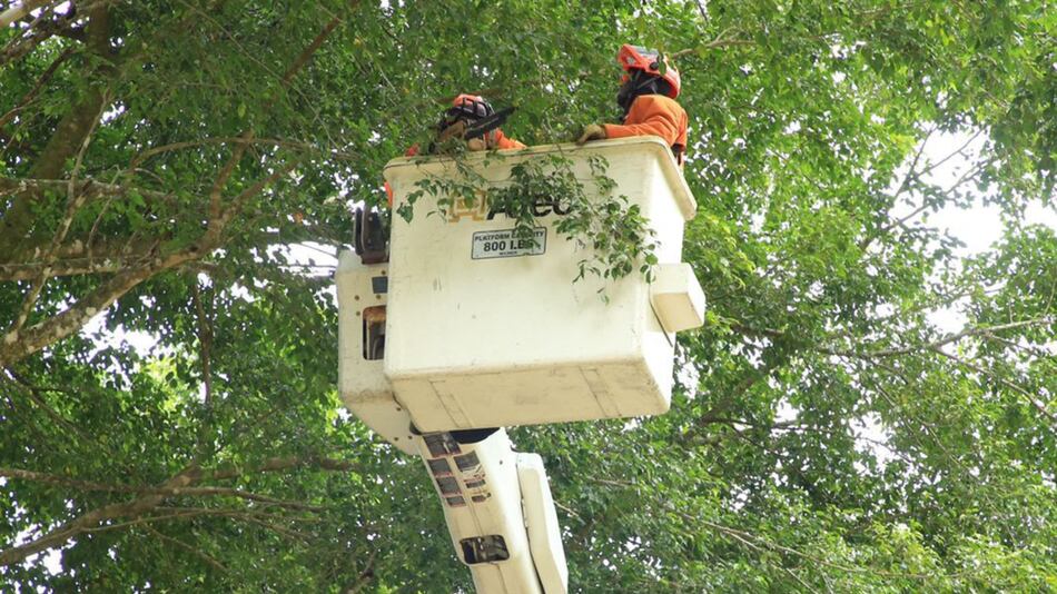 Trabajos de mantenimiento en la red eléctrica del 10 al 16 de noviembre 2025