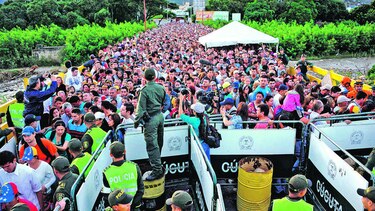 en busca de comida y medicinas