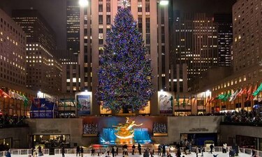 Aprovecharán árbol de Navidad del Rockefeller Center