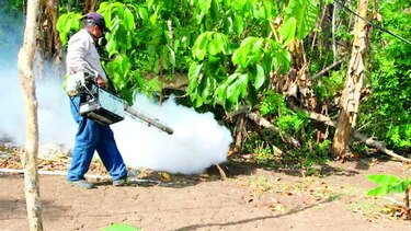 El virus zika llegó a Panamá para quedarse: Terrientes