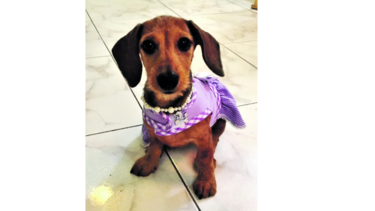Toda una diva