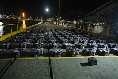 El Senan registró el decomiso de más de 10 toneladas de droga en enero