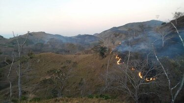 Incendio destruye 200 hectáreas del área protegida Ciénega de las Macanas