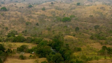 Un 65% de la cuenca del río La Villa está deforestada