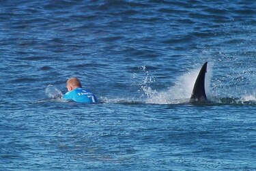 Tiburones matan a una surfista de 17 años en Australia y mutilan la pierna de otro en Hawái