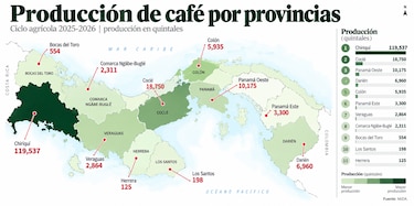 Panamá, capital mundial del café: del Geisha de sus montañas al escenario internacional