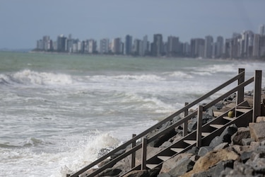 El calentamiento del mar reducirá el tamaño de los peces, según un estudio