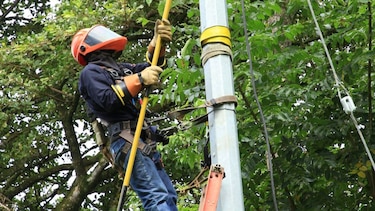 Trabajos de mantenimiento en la red eléctrica del 29 de junio al 5 de julio de 2026