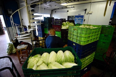 Se dispara el precio del tomate, la papa, el brócoli y la lechuga; síntoma del conflicto minero