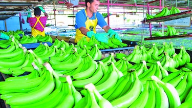 Dos mercados en retroceso