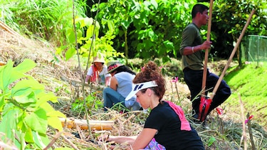 ‘Desarrollo del país debe ir ligado a protección’: Endara