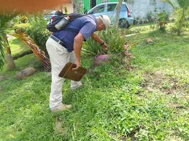 Aumenta el dengue en Panamá: se registran 10 casos graves y 6 muertes